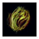 Artwork voor "Speak Off The Cuff"