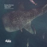 Portada para "Rigel / Mizar"