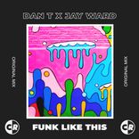 Artwork for "Funk Like This"