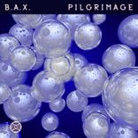 Artwork voor "Pilgrimage"