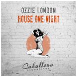 Artwork for "House One Night"