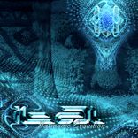 Artwork voor "Harmonic Evolution"