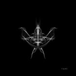 Artwork for "Raw Life"