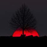 Artwork voor "Yarım Kaldık"