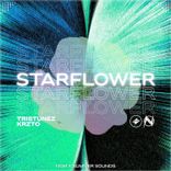 Starflower