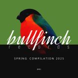 Artwork for "Bullfinch Spring 2025 Compilation"