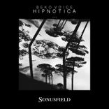 Artwork for "Hipnotica"