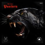 Artwork for "Panthera"