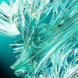 Artwork für "Orkidea"