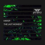 Artwork voor "The Last Moment"