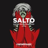 Artwork for "Salto"