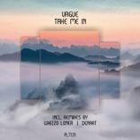 Artwork voor "Take Me In"