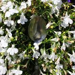 Artwork voor "Spoon"