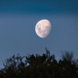 Artwork voor "Meditate"