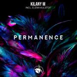 Artwork for "Permanence"