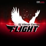 Artwork for "Flight"