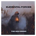 Artwork for "Elemental Forces"