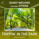 Artwork for "Trippin' In The Park"