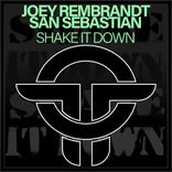 Portada para "Shake It Down"