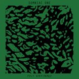 Artwork voor "Poly Nightmare"