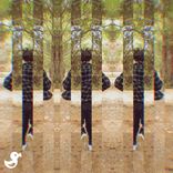 Artwork voor "Return to Nature"