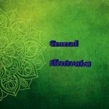 Artwork for "General Electronica"