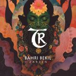 Artwork for "Zareen"