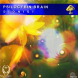 Artwork für "Psylocibin Brain"