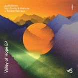 Artwork for "Valley of Hope"