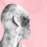 Portada para "Sensen - Hum"