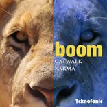 Artwork for "Catwalk Karma"