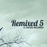 Artwork for "Remixed 5"
