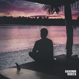 Artwork for "Voices"