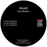 Artwork for "Tres Mudras"