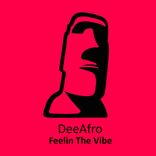 Portada para "Feelin The Vibe"