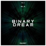 Binary Dream