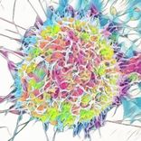 Artwork for "Hey Ass EP"