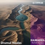 Drumul Neales (The Path Not Taken)