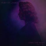 Artwork for "Own The Night"