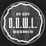Artwork for "Boomer"