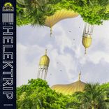 Artwork voor "Helektrip"