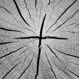 Artwork for "That's Why"