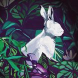 Portada para "Carefree"