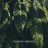 Artwork für "Tropical Odyssey"