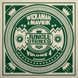 Artwork für "Jungle Strikes, Vol. 4"