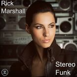 Artwork for "Stereo Funk"