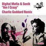 Artwork for "Am I Crazy (Charlie Goddard Remix)"
