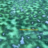 Artwork voor "SAMMLER02"