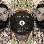 Artwork voor "Gospina"