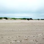 Artwork for "Perfektlos Song"